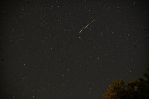 Perseid (18)